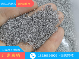 304不锈钢丸
